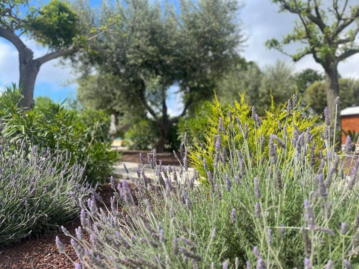 דירות לוקורוטונדו Maison Dei Trulli מראה חיצוני תמונה